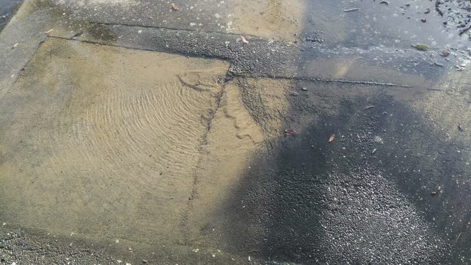 The photograph attached to this water supply report