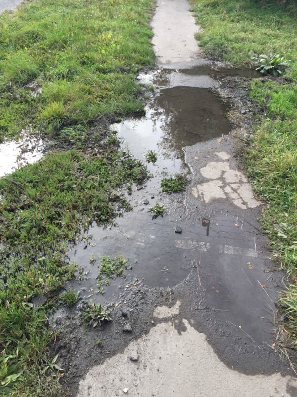 The photograph attached to this roading/streets report