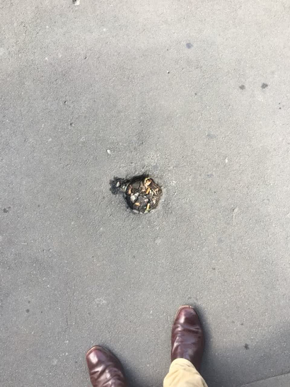 The photograph attached to this roading/streets report
