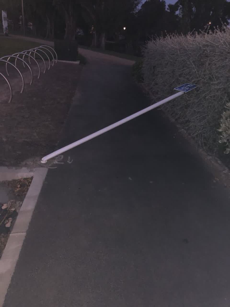 The photograph attached to this parks report