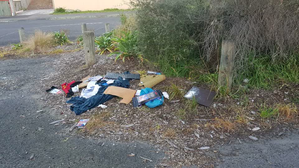 The photograph attached to this rubbish/recycling report