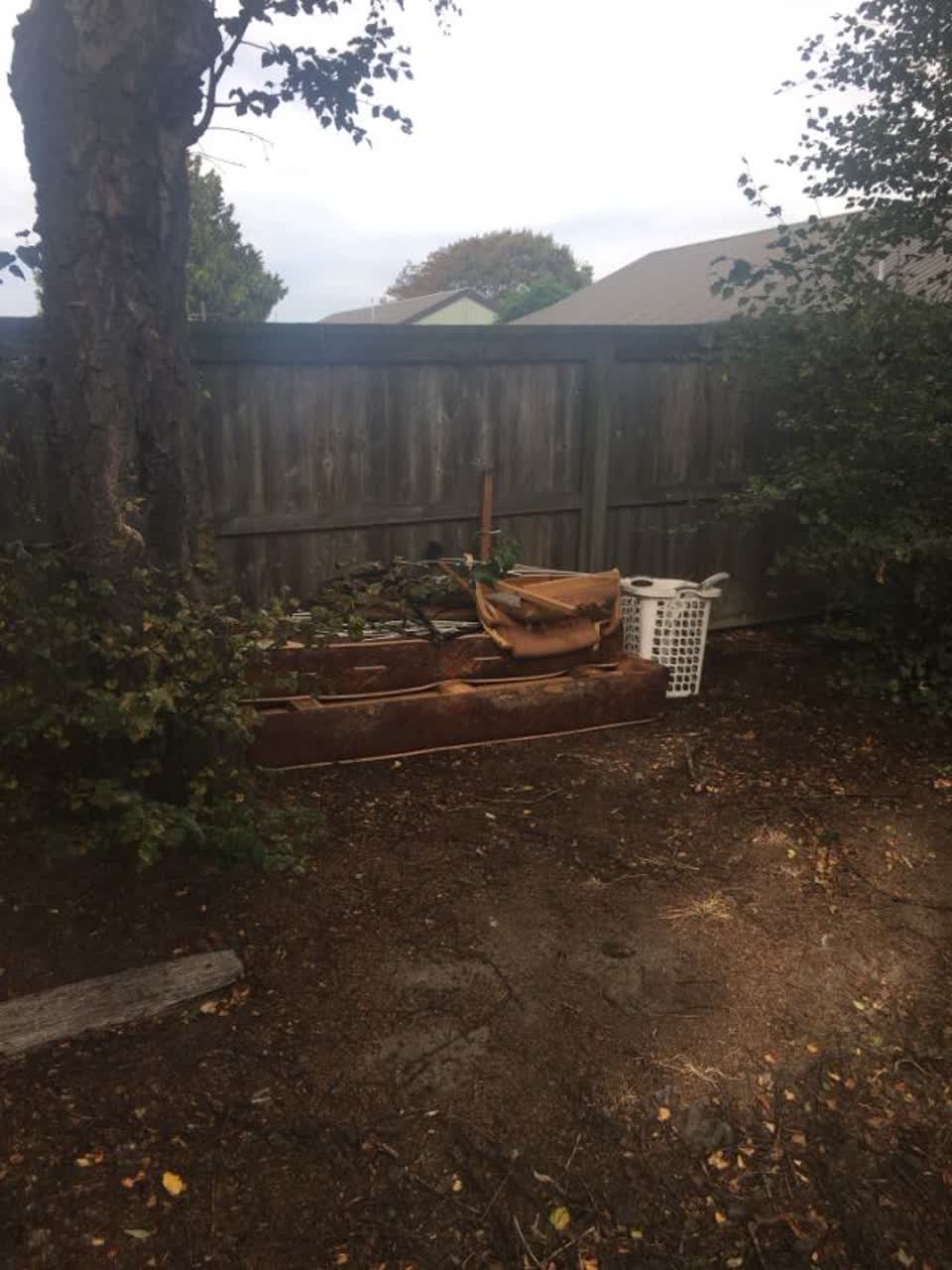 The photograph attached to this parks report