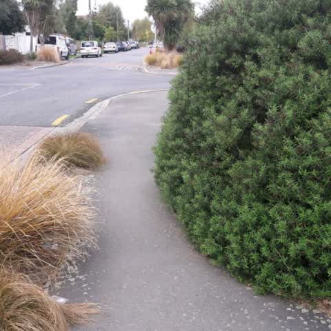Roading/Streets, a report photo