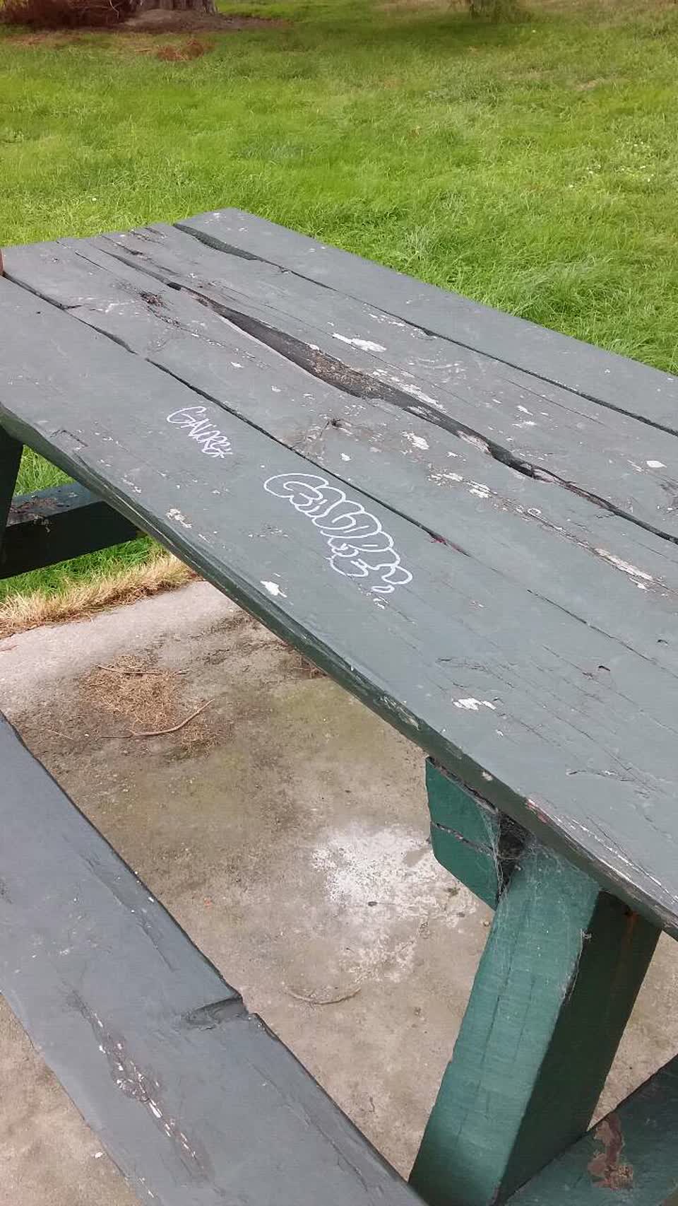The photograph attached to this graffiti report