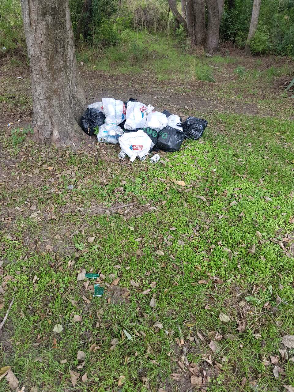 The photograph attached to this rubbish/recycling report