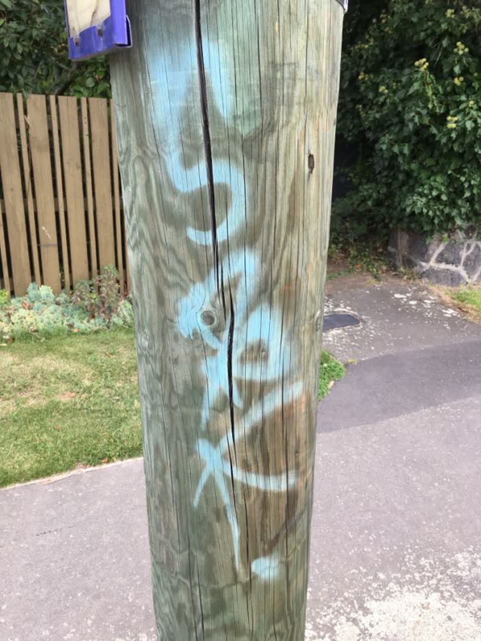 The photograph attached to this graffiti report