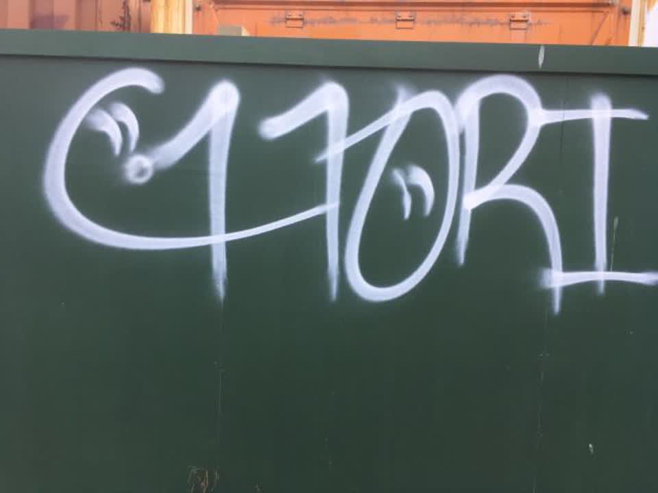 The photograph attached to this graffiti report
