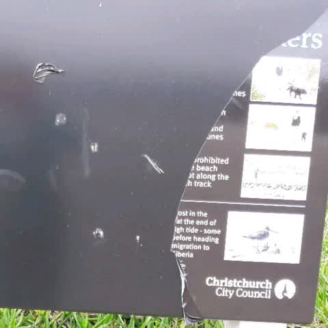 Parks, a report photo
