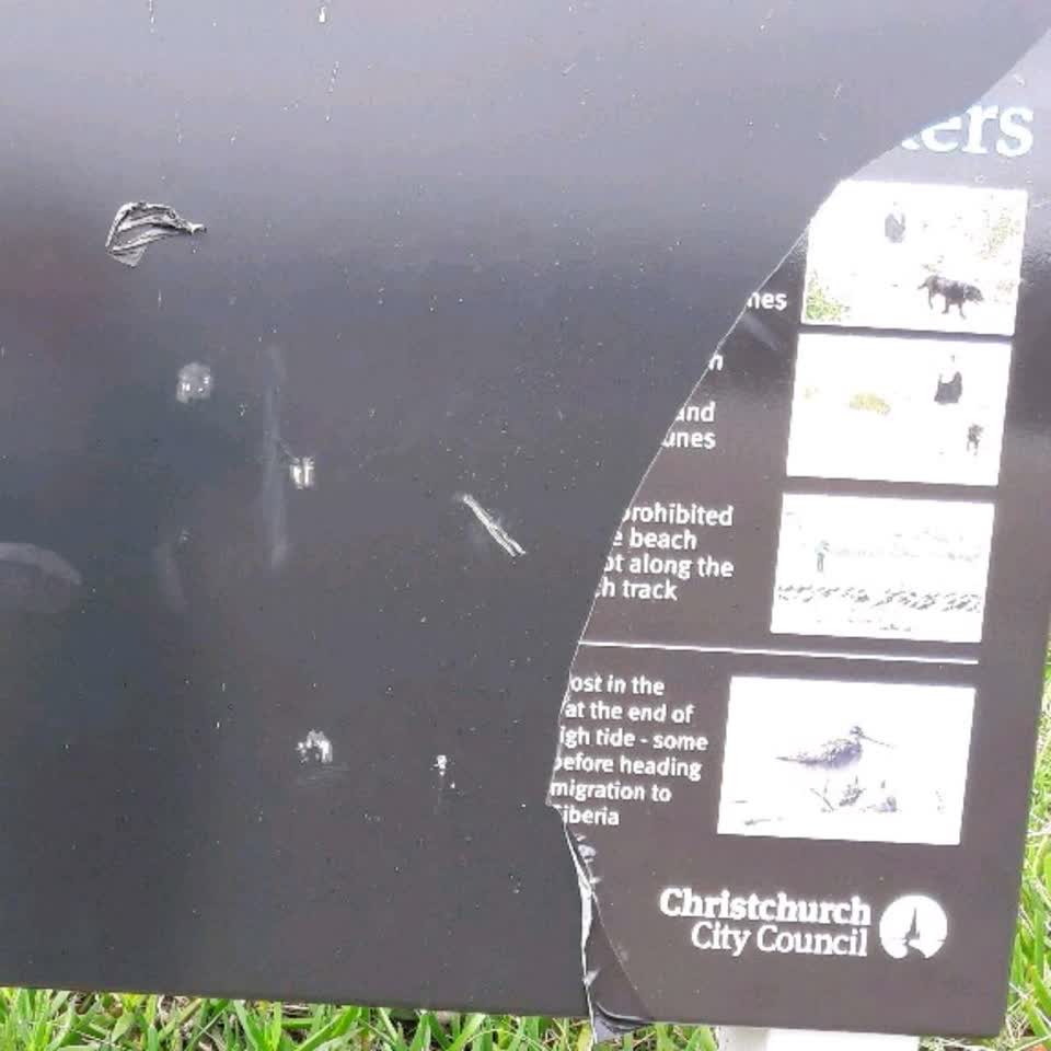 The photograph attached to this parks report