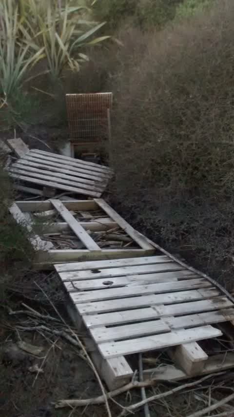 Flooding, a report photo