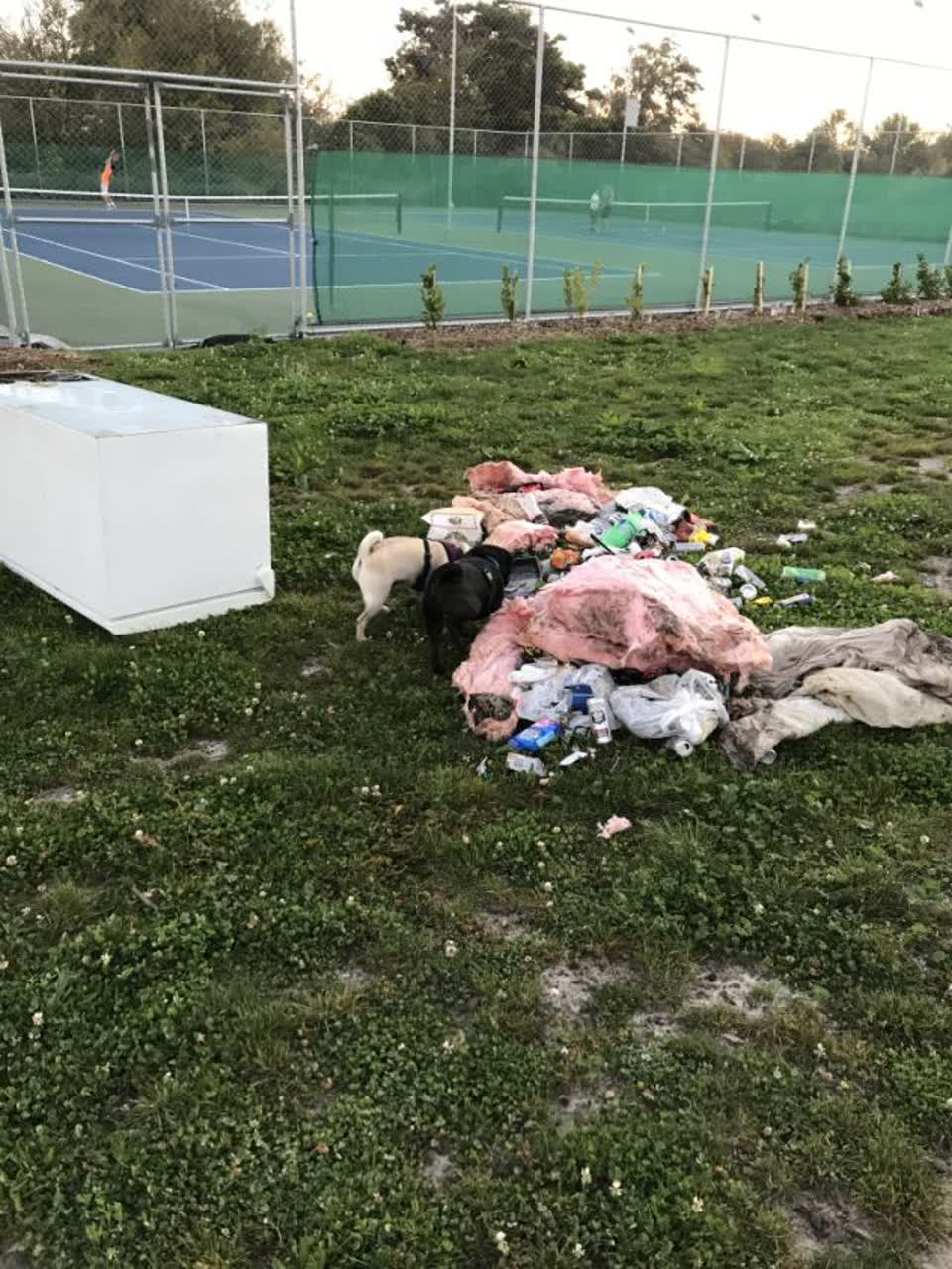 The photograph attached to this rubbish/recycling report