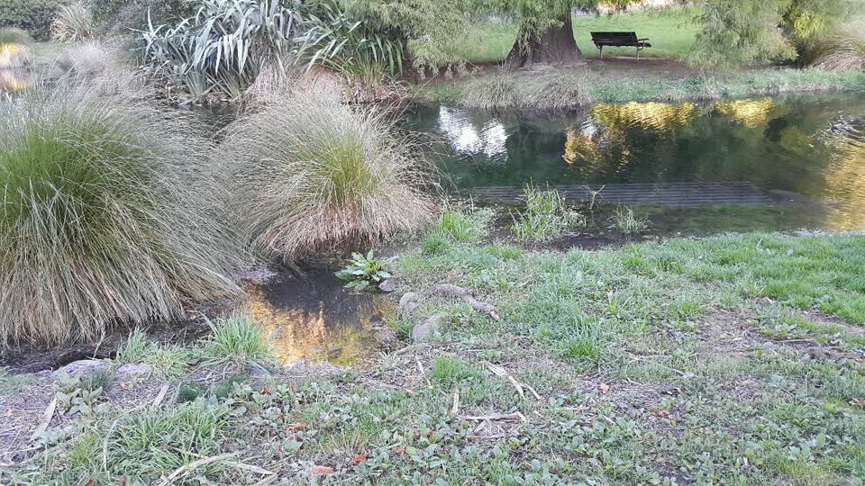 The photograph attached to this parks report