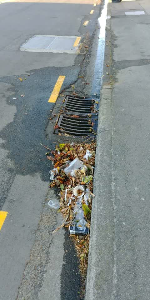 Rubbish/Recycling, a report photo