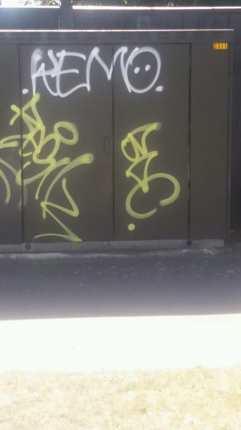 The photograph attached to this graffiti report