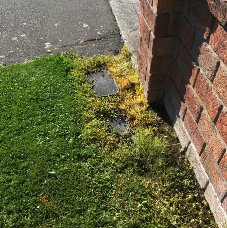 The photograph attached to this water supply report