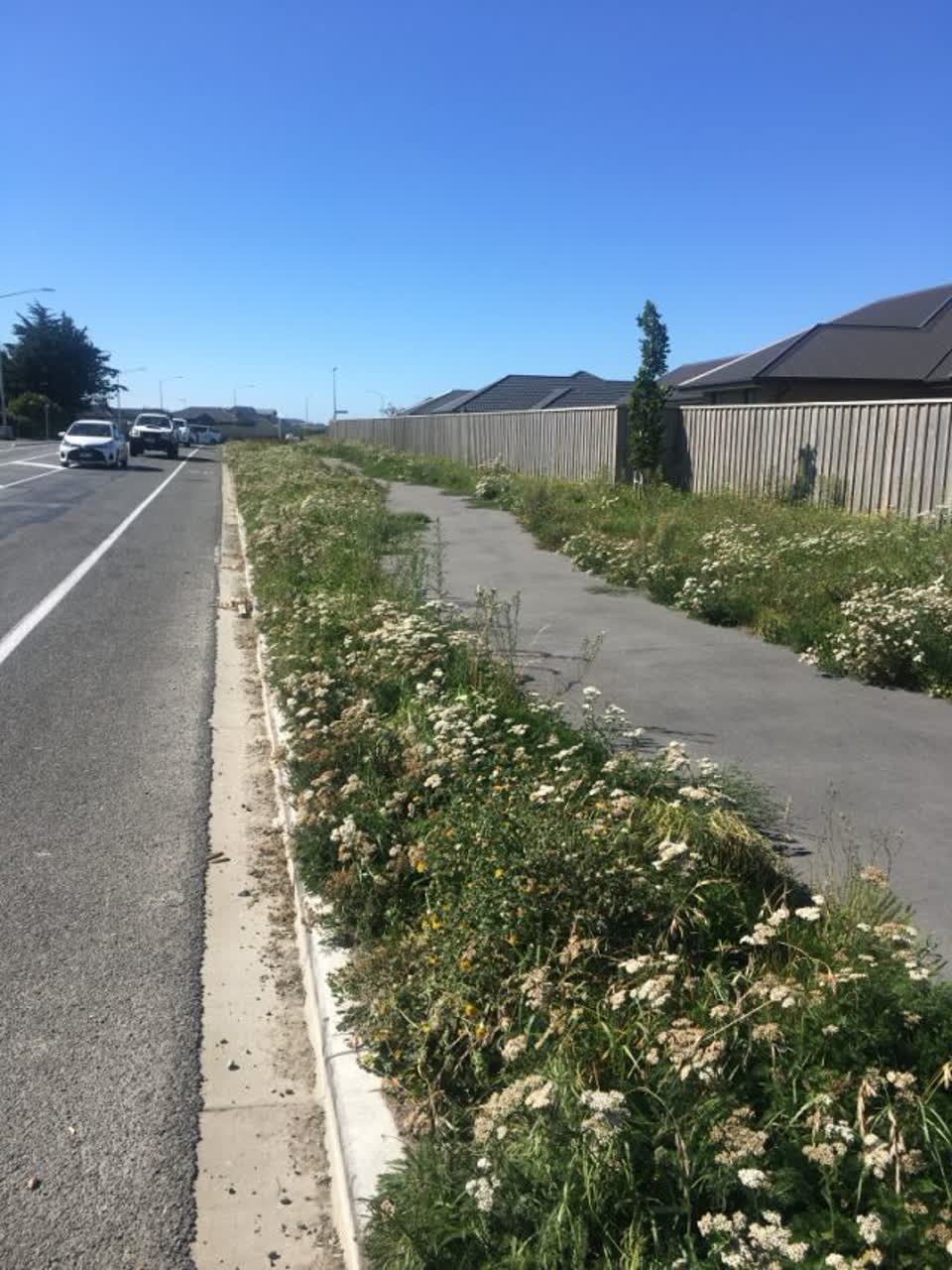 The photograph attached to this roading/streets report