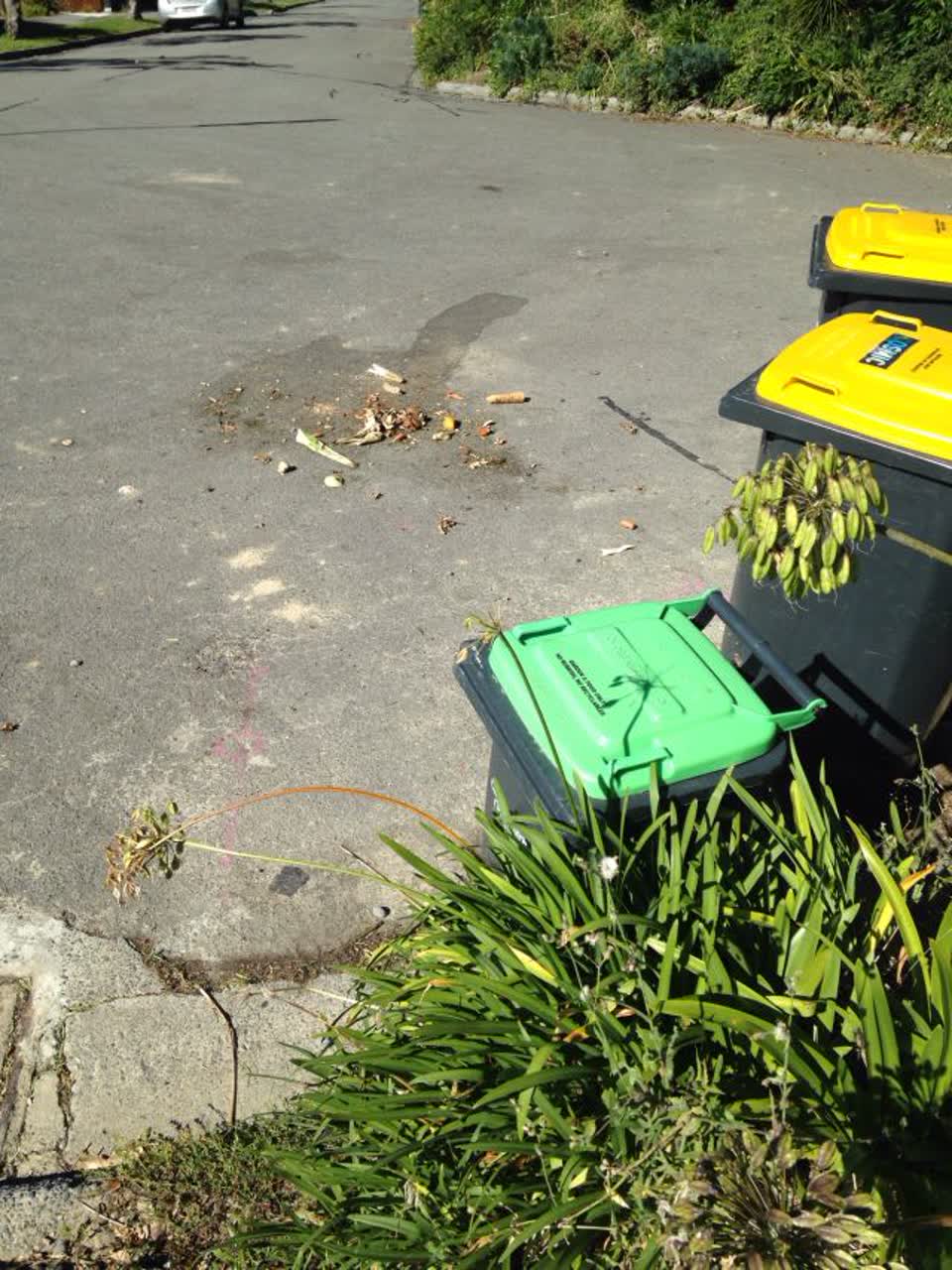 The photograph attached to this rubbish/recycling report