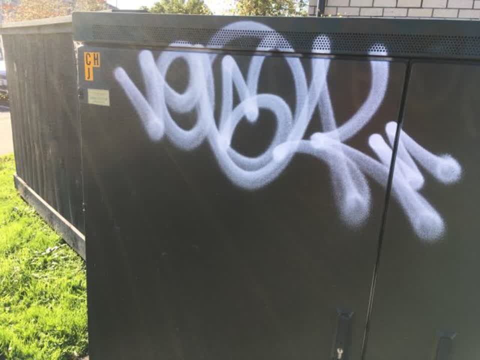 The photograph attached to this graffiti report