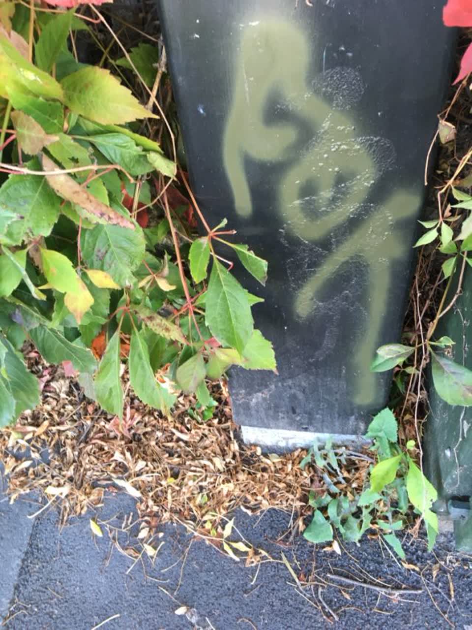 The photograph attached to this graffiti report