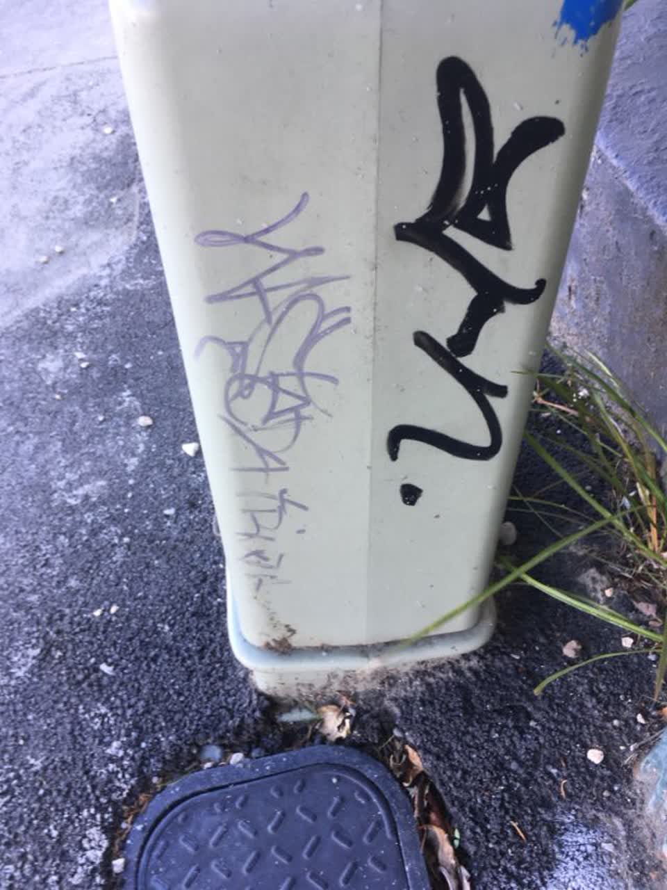 The photograph attached to this graffiti report