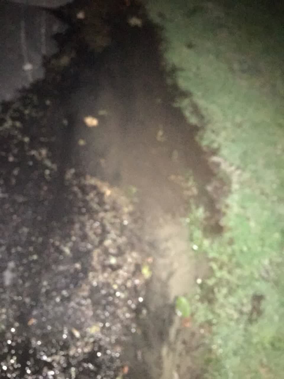 The photograph attached to this water supply report