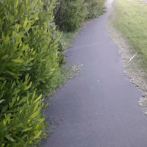 Roading/Streets, a report photo