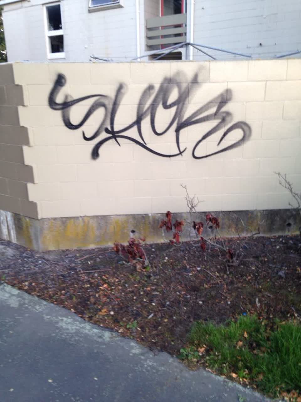 The photograph attached to this graffiti report