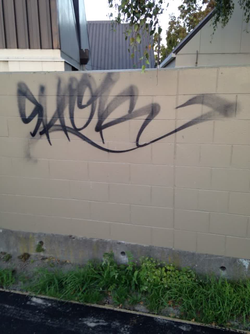 The photograph attached to this graffiti report