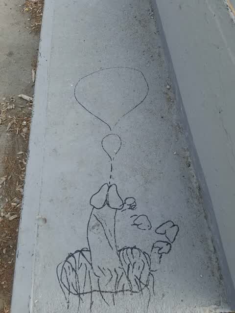 Graffiti — a report photo