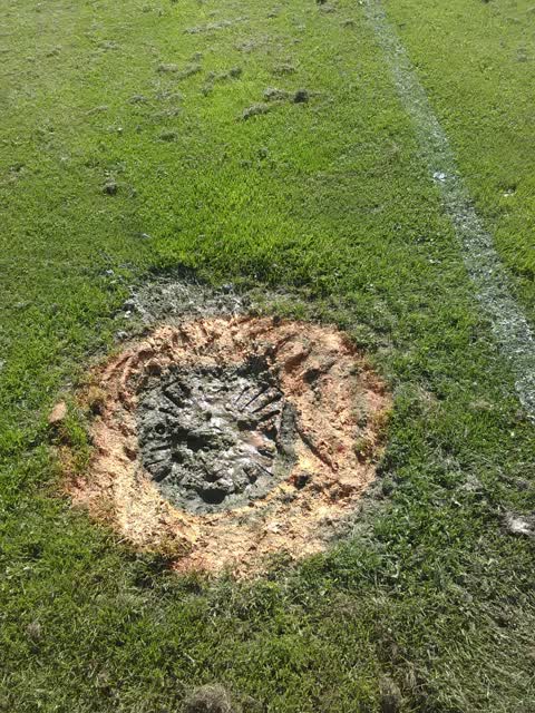 Parks, a report photo
