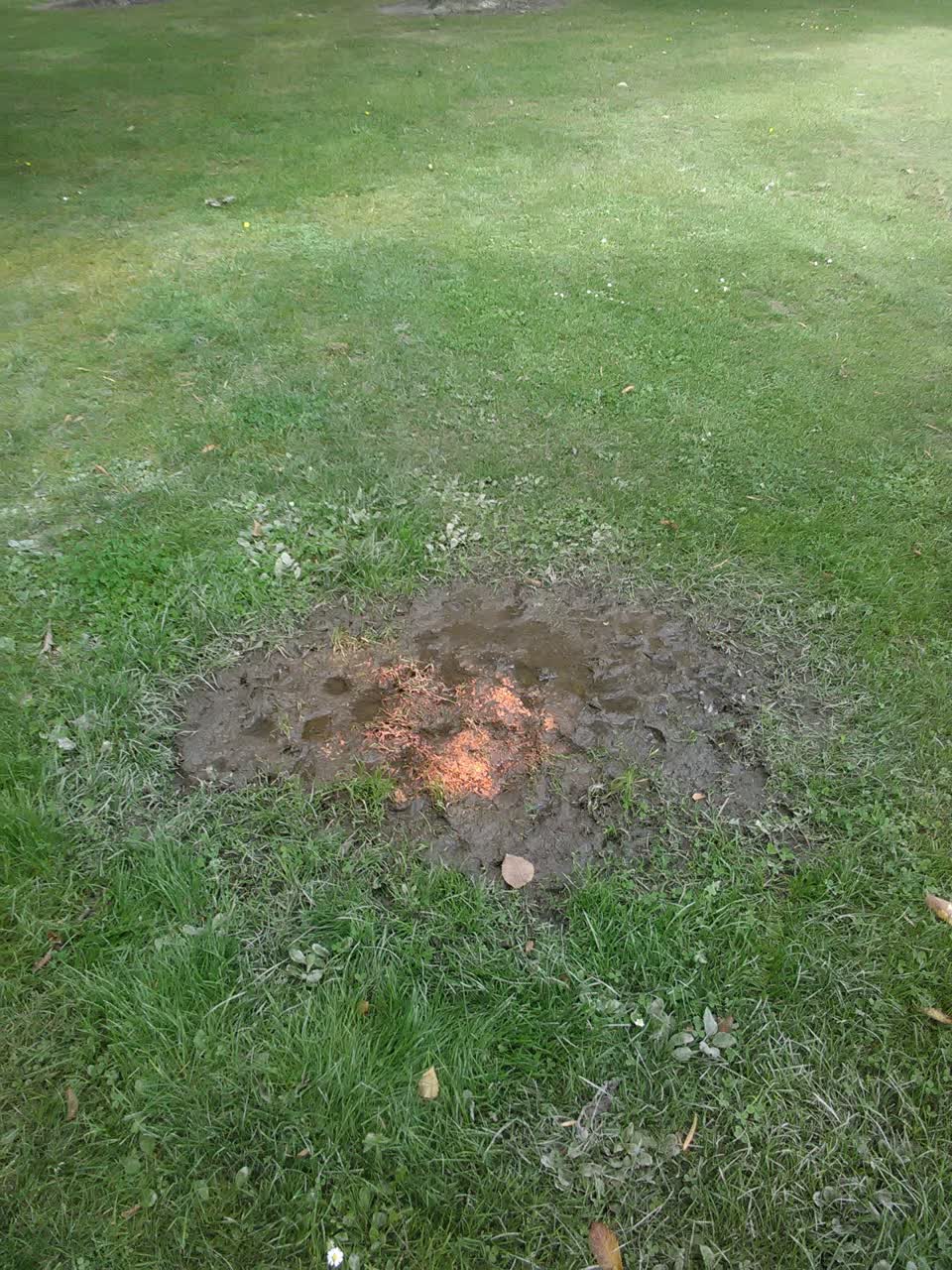 The photograph attached to this parks report