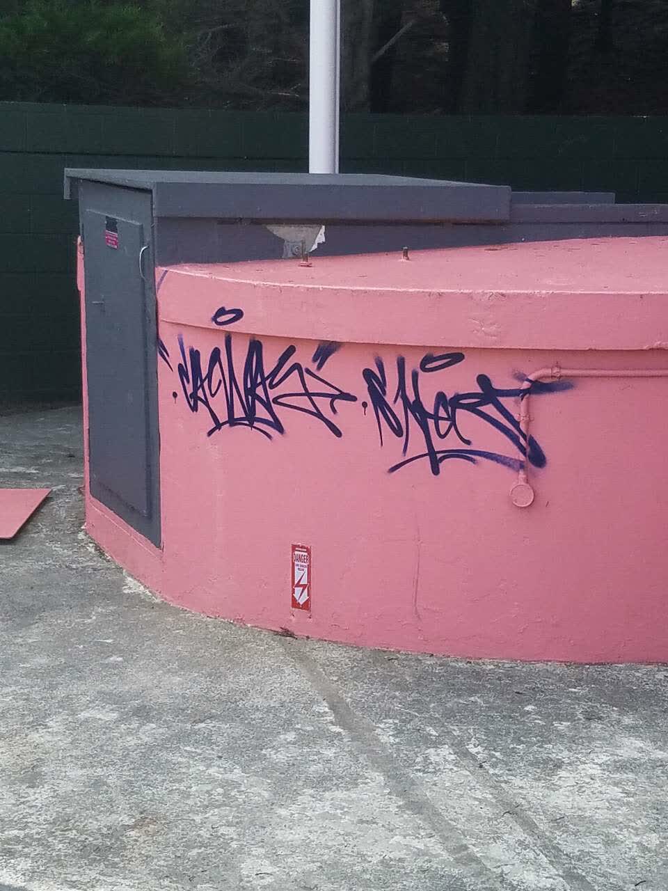 The photograph attached to this graffiti report