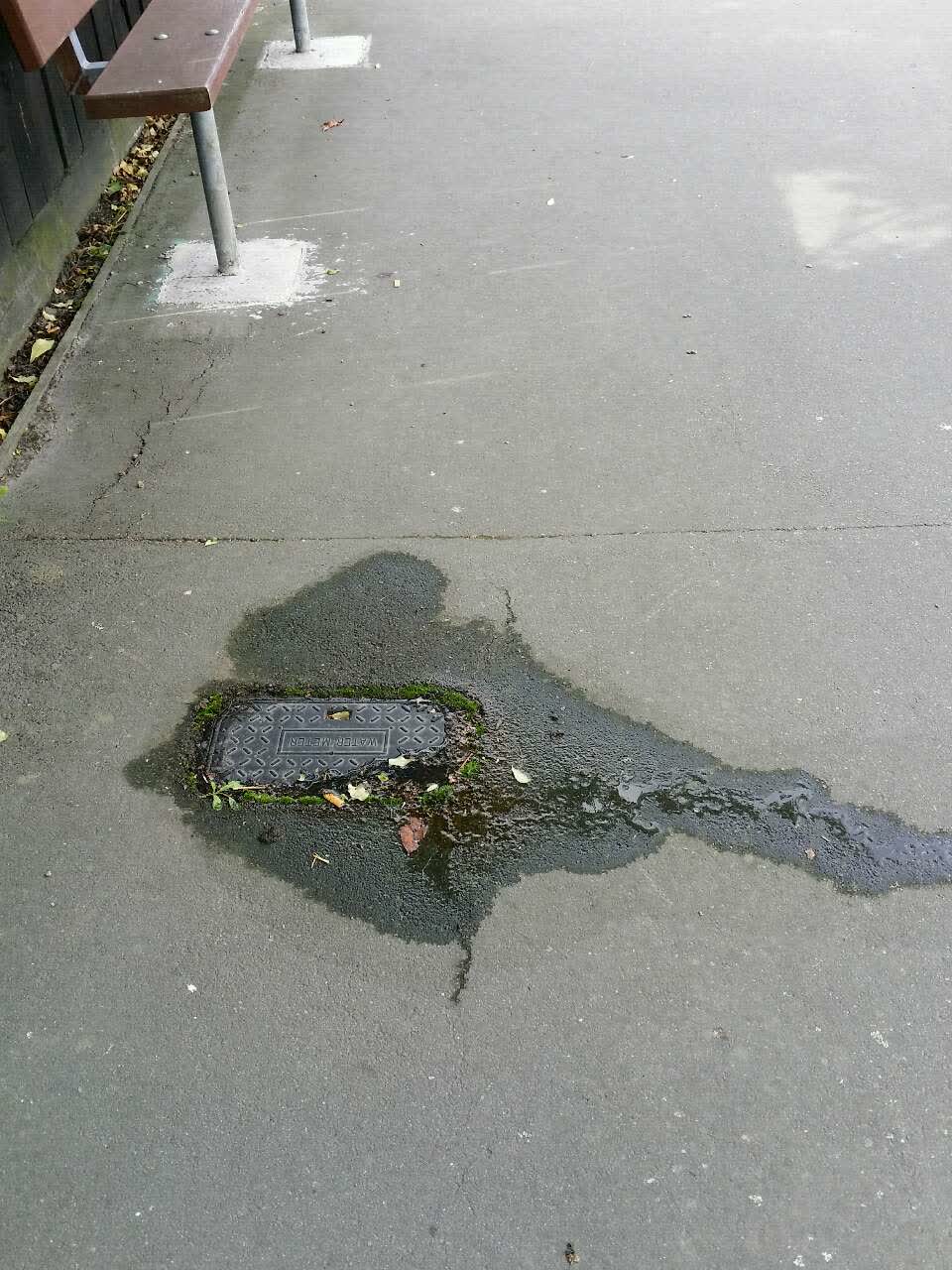 The photograph attached to this water supply report