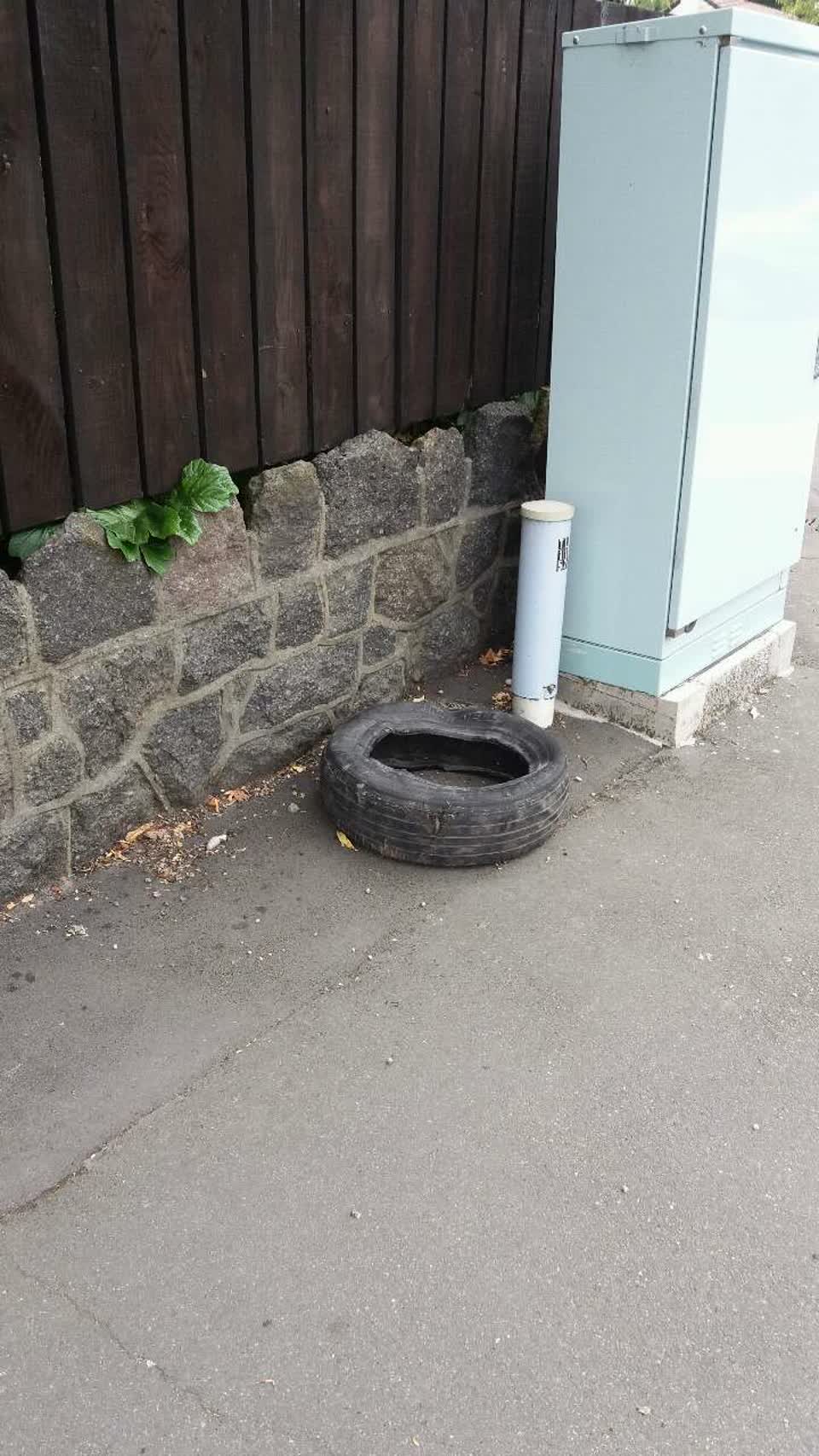 The photograph attached to this rubbish/recycling report