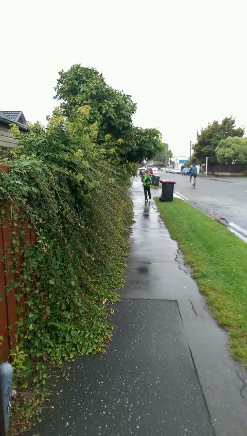 Roading/Streets, a report photo