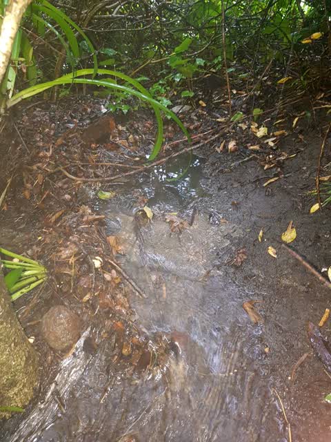 Wastewater/Stormwater, a report photo