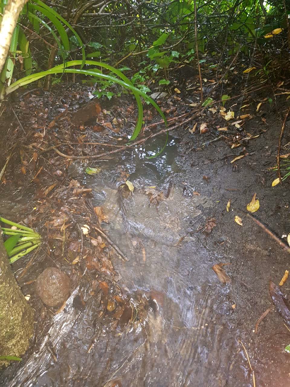 The photograph attached to this wastewater/stormwater report