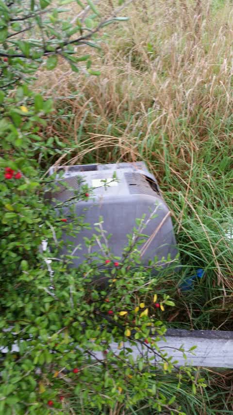 Rubbish/Recycling, a report photo