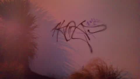 Graffiti, a report photo