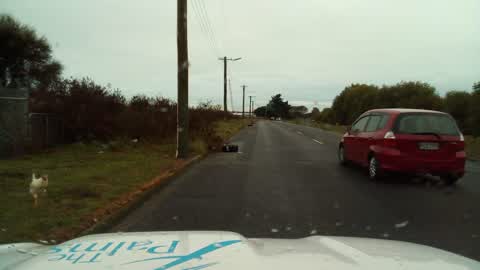 Rubbish/Recycling, a report photo