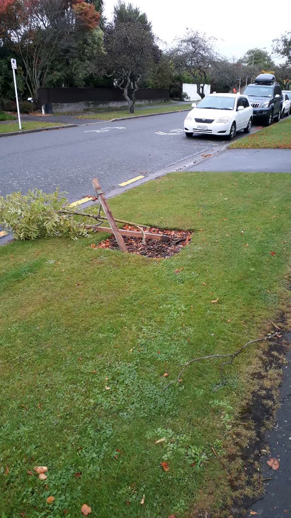 The photograph attached to this roading/streets report