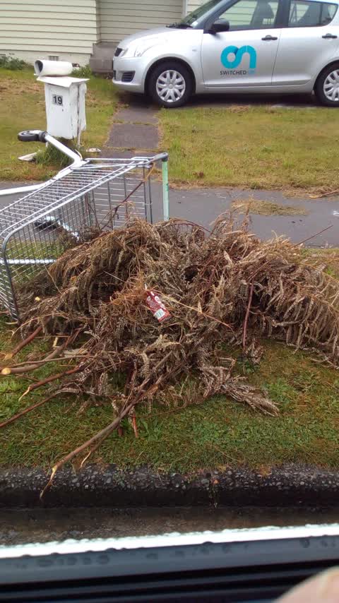 Rubbish/Recycling, a report photo