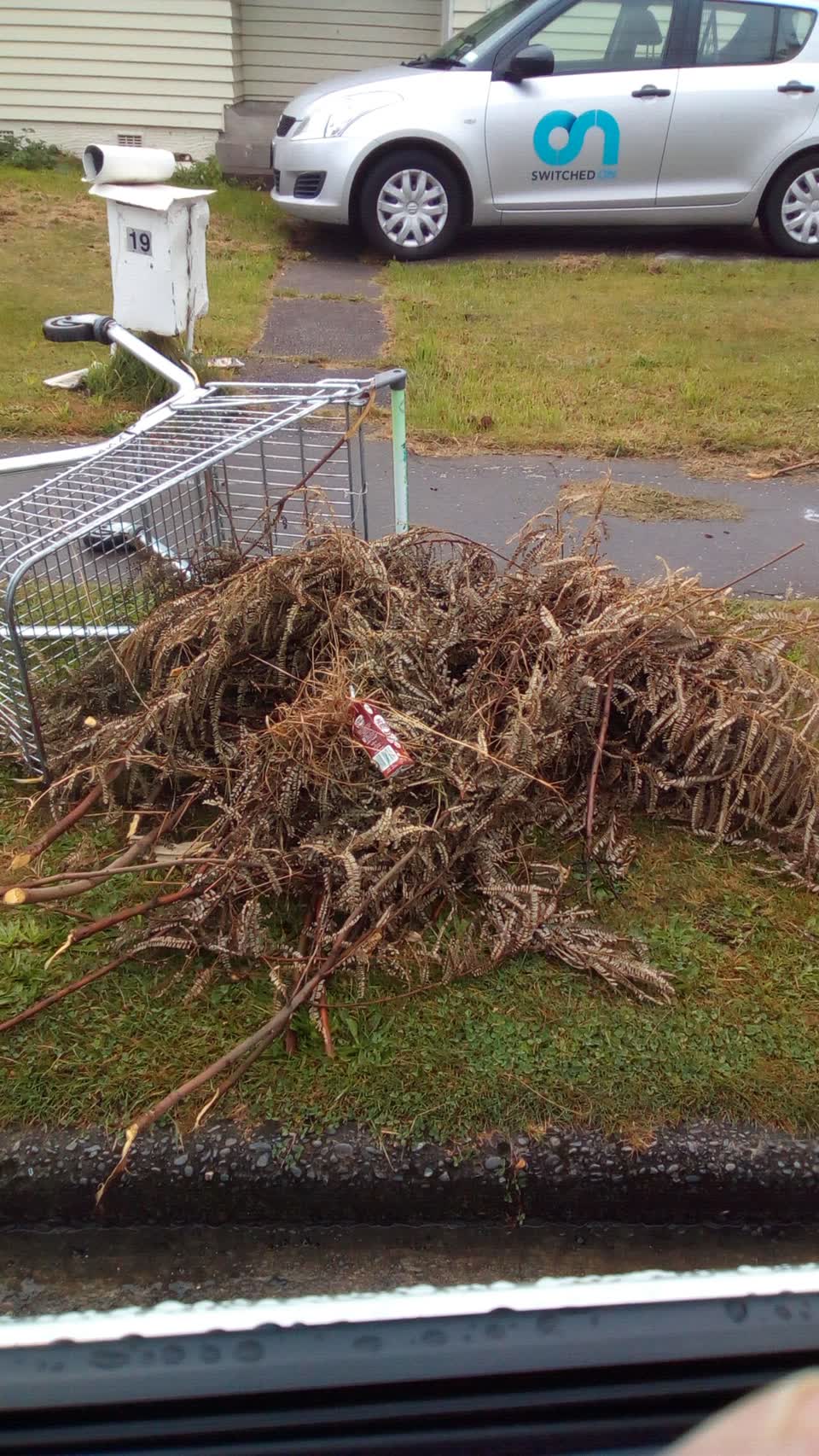 The photograph attached to this rubbish/recycling report