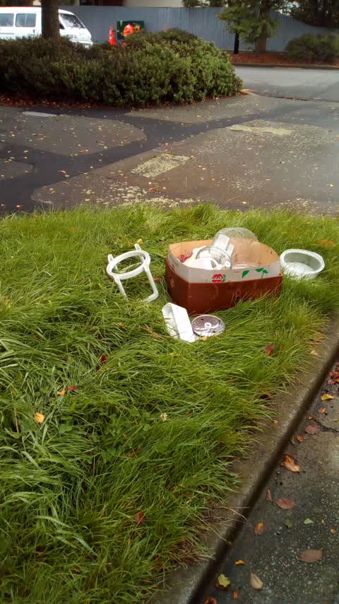 Rubbish/Recycling, a report photo