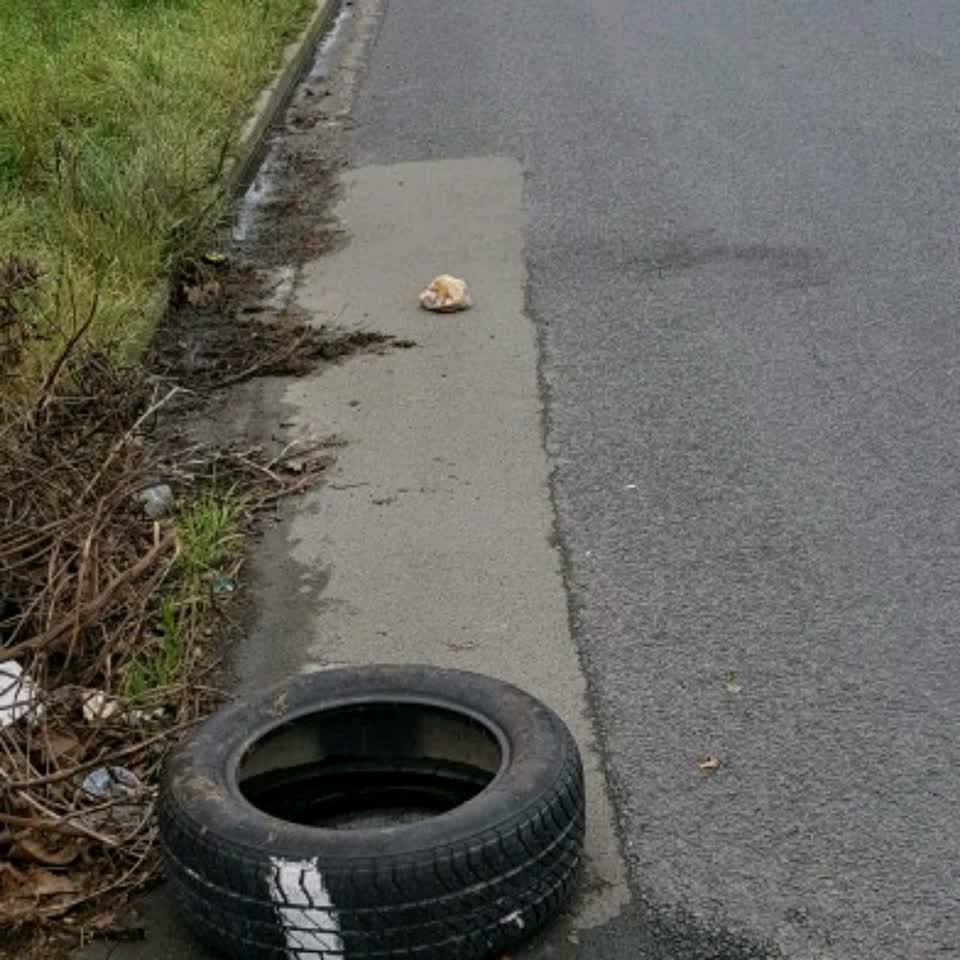 The photograph attached to this rubbish/recycling report
