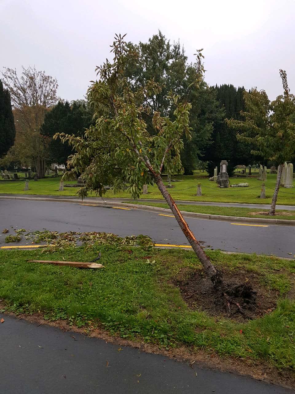 The photograph attached to this parks report