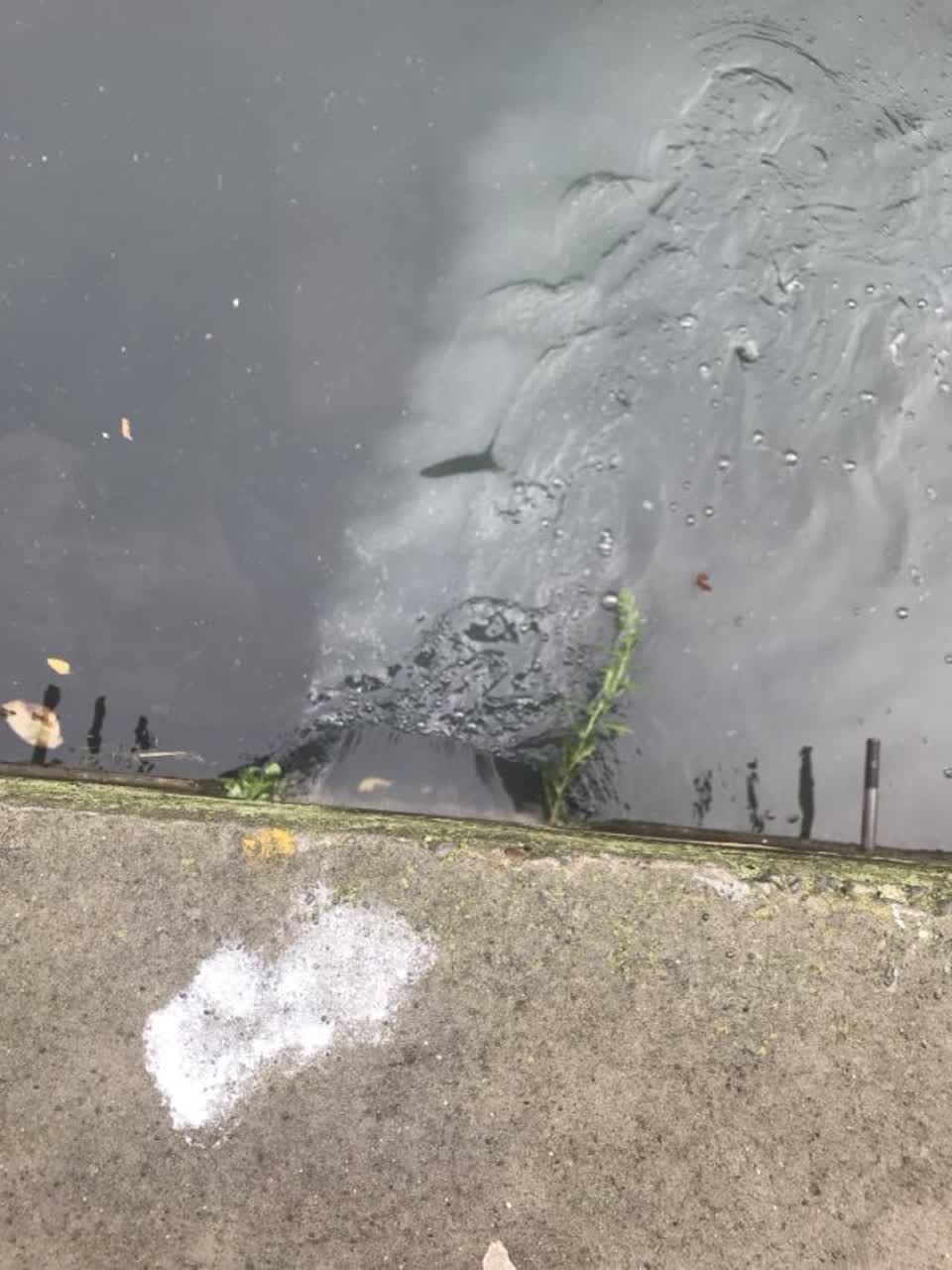 The photograph attached to this wastewater/stormwater report