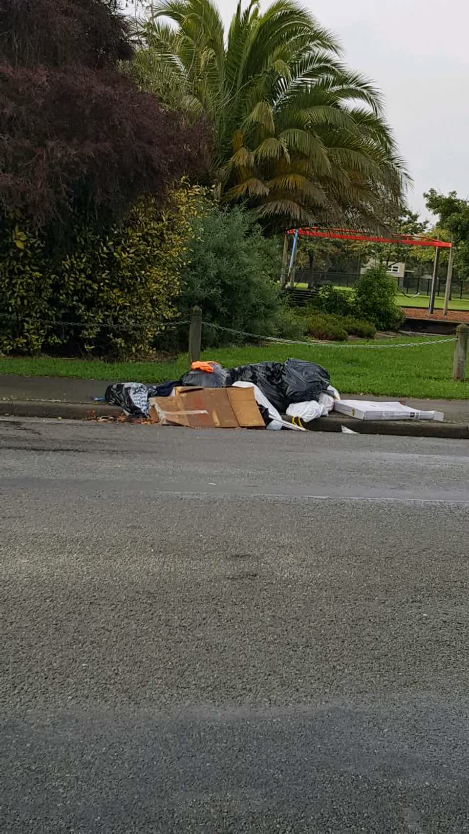 The photograph attached to this rubbish/recycling report