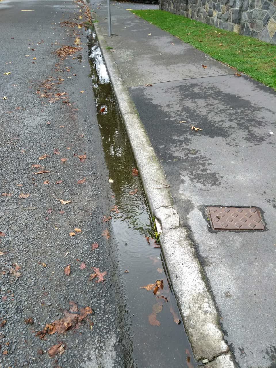The photograph attached to this water supply report