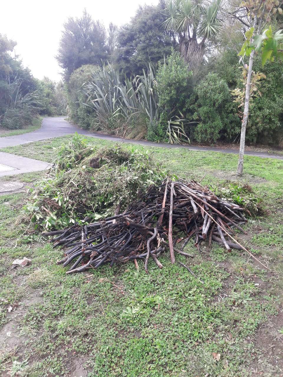 The photograph attached to this parks report